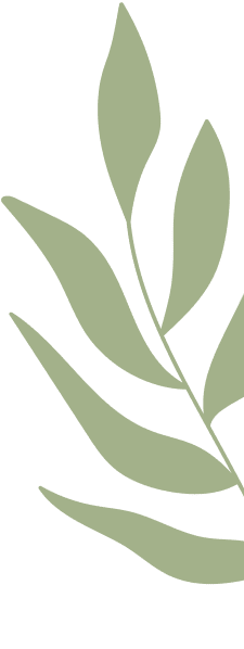 Green leaves on a black background.