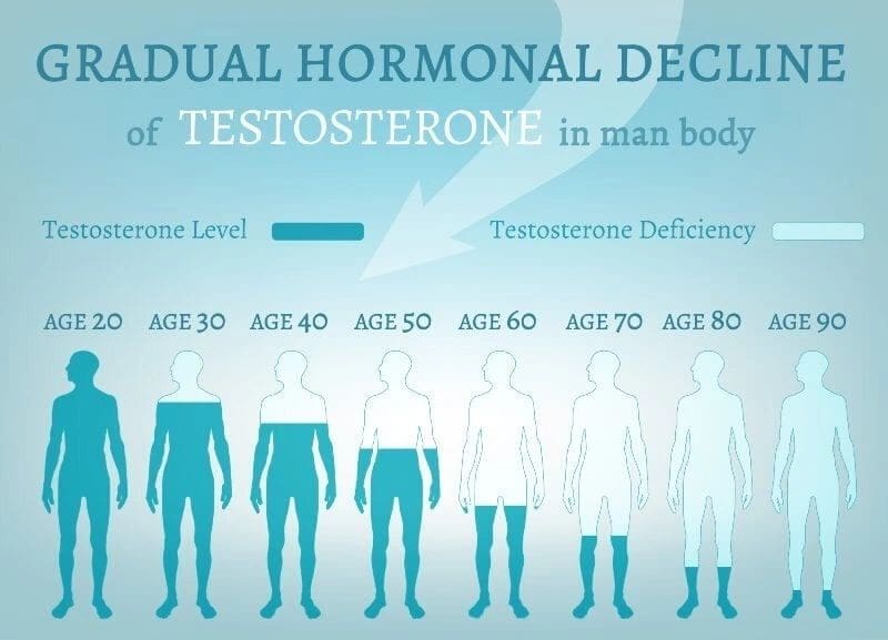 Testosterone decline in men by age chart.